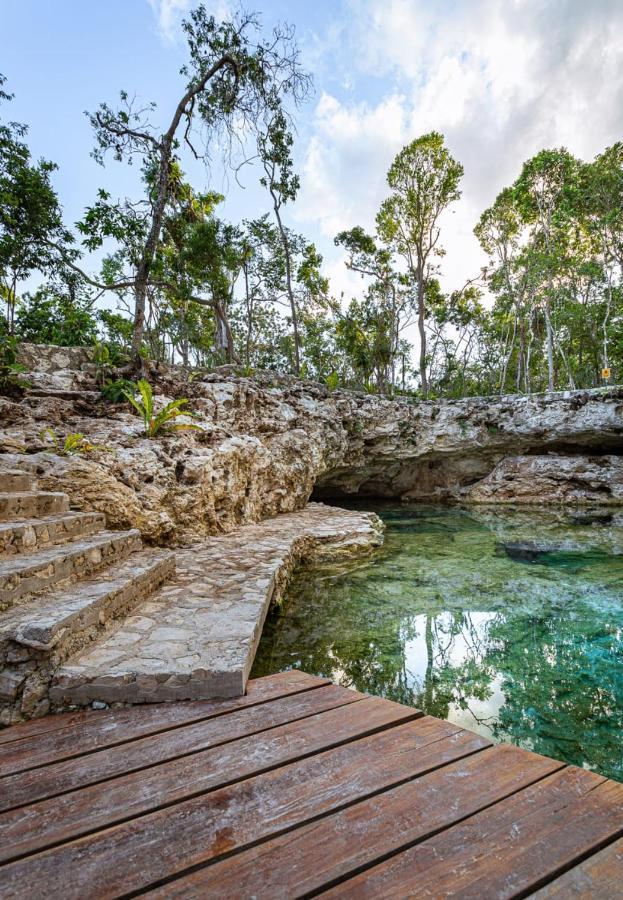 Tiny House En La Selva Con Cenote Natural Privado Tulum Extérieur photo